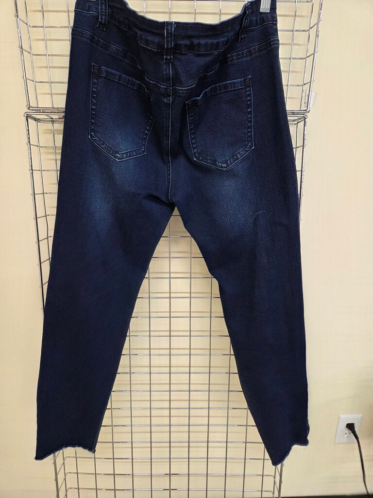 Ethyl Zipper Skinny Jean sz 10