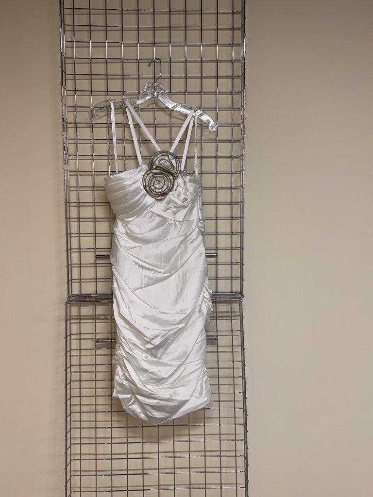 Short Silk Dress