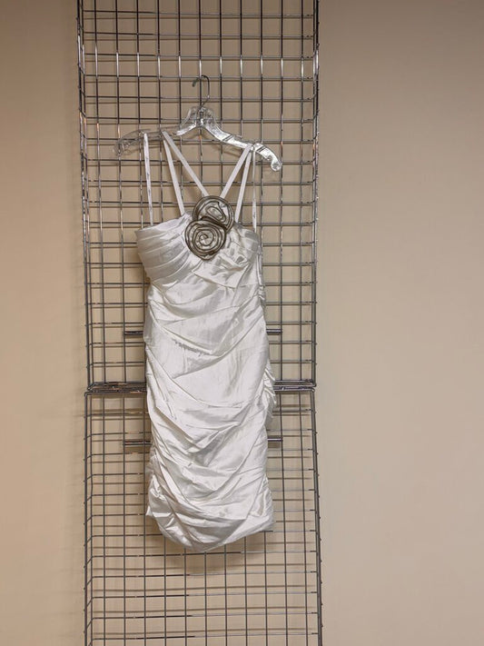 Short Silk Dress