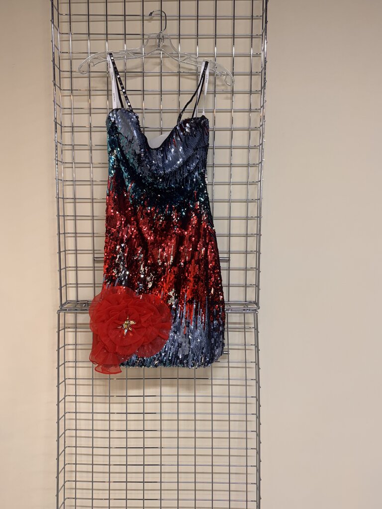 Short Sequin Dress