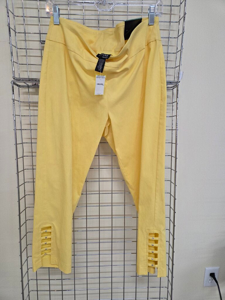 Attyre Bedazzled Cutout Ankle Pant