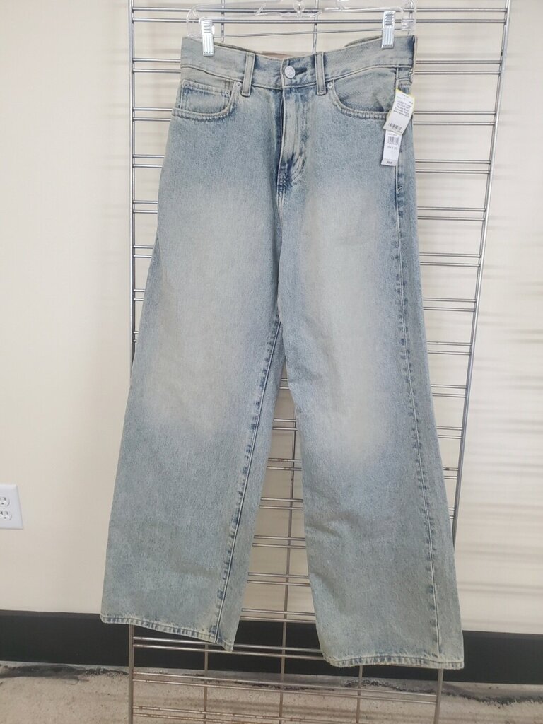 NWT Pacsun Blake Extremely Baggy Jeans