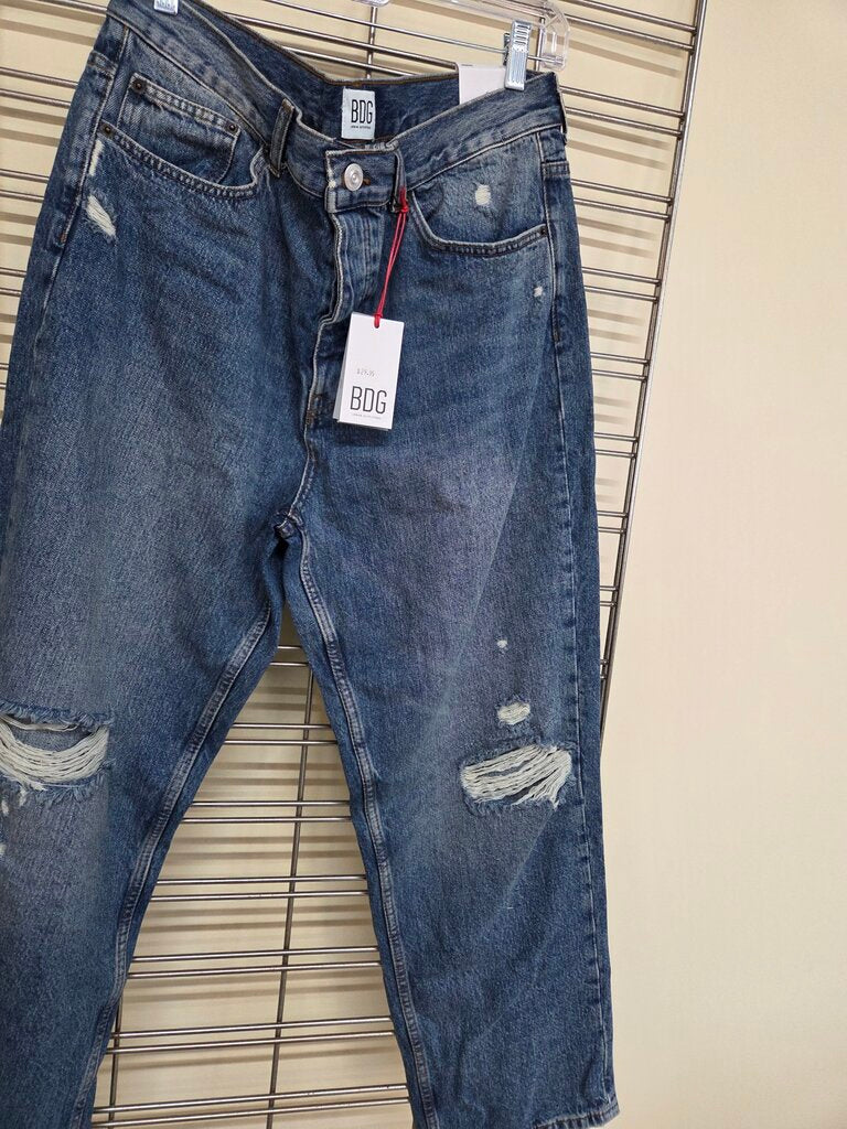 BDG Samson Men's Demin