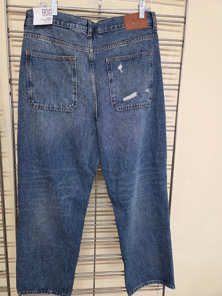BDG Samson Men's Demin