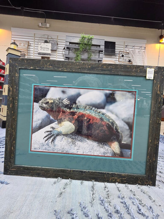 Large Framed Picture of Marine Iguana 27" Height x 35" Width