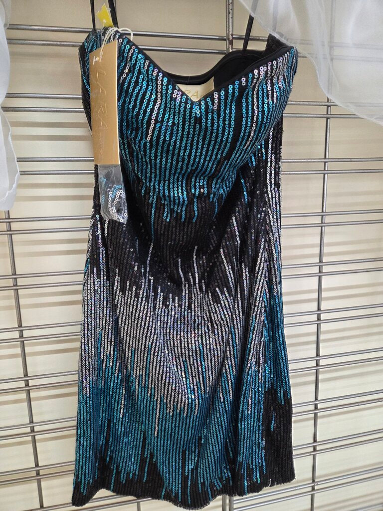 Short Sequin Dress