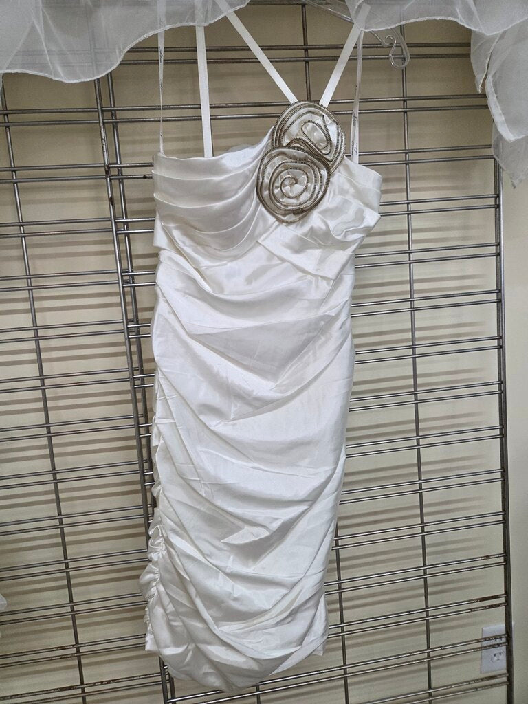 Short Silk Dress