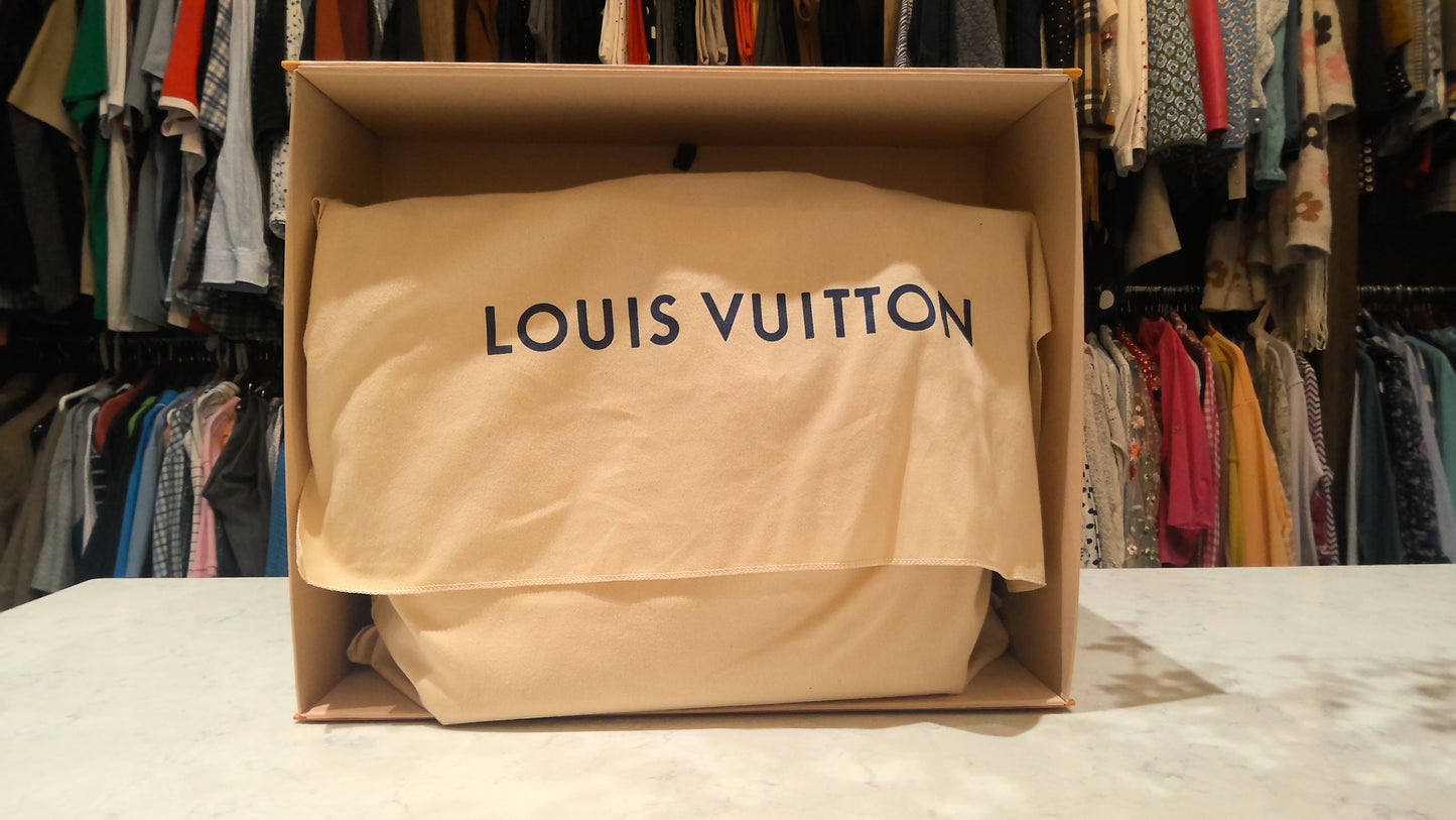 LV Neverful MM Pool Brume Shoulder Bag